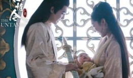 陈情令在线费观看,沉浸式体验，解锁青春奇幻之旅